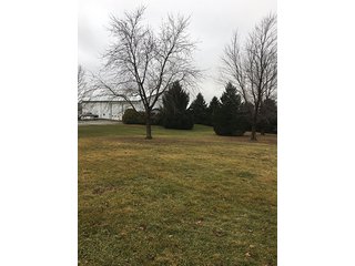 6 Acres with mobile home, 54' x 88' heated and insulated pole building with office, equipment storage, shop, overhead storage and restroom.  Well and 2 septic systems.  24' x 40' livestock or storage building.

Great for mini-farm or additional storage and shop for local farmers.  Excellent potential building site. - 6 Acres with Mobile Home, Pole Building & Storage or Livestock Building
